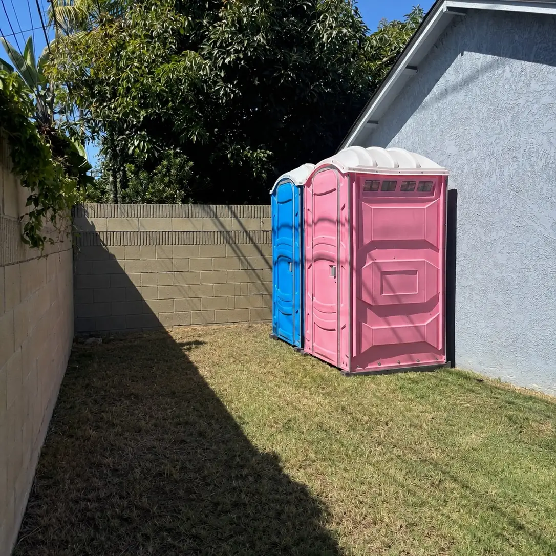 Blue and pink portable toilets placed side by side on a backyard lawn along a fence